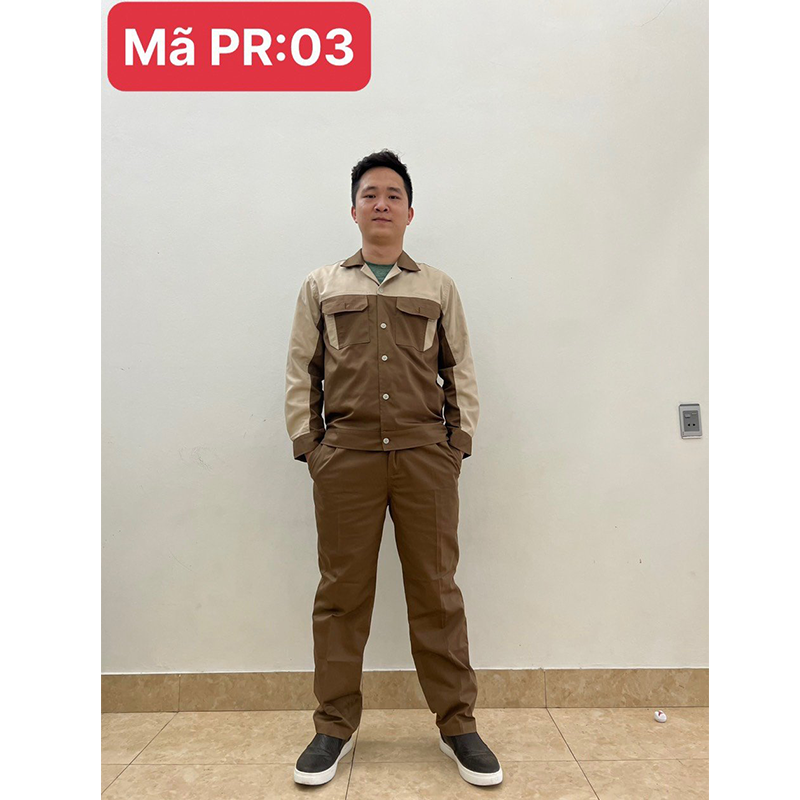 PR 03